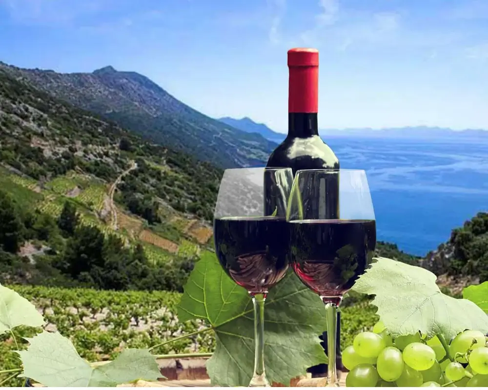 Discover the Pelješac Peninsula: A Wine Tour from Dubrovnik.